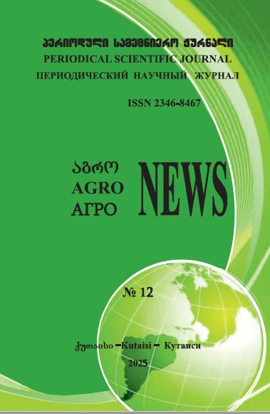 					View No. 12 (2025): ARTICLES
				